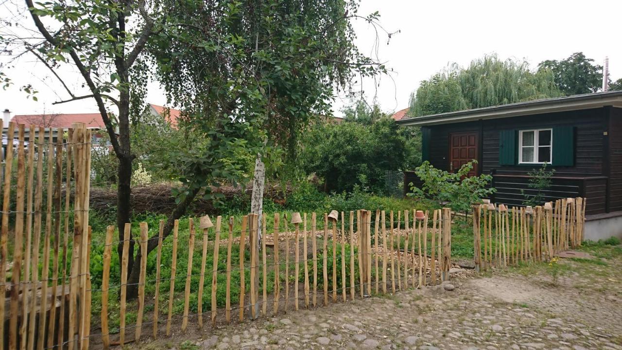Ferienwohnung Hütte mit Herz im Harz Meisdorf Exterior foto