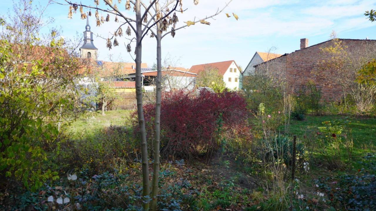 Ferienwohnung Hütte mit Herz im Harz Meisdorf Exterior foto